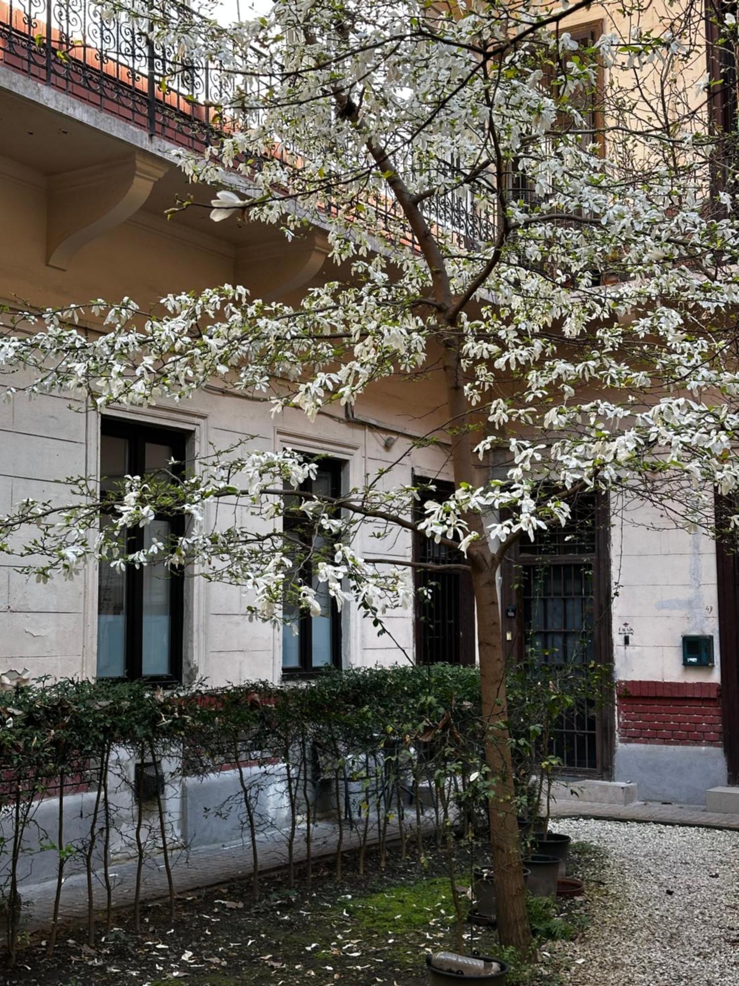 Appartamento Stylish Natural With Sauna - Heroes Square *